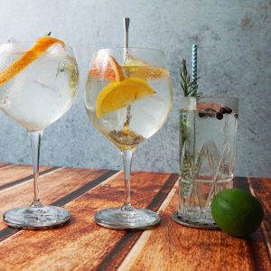 gin tonic, cocktails, summer drinks-4468653.jpg
